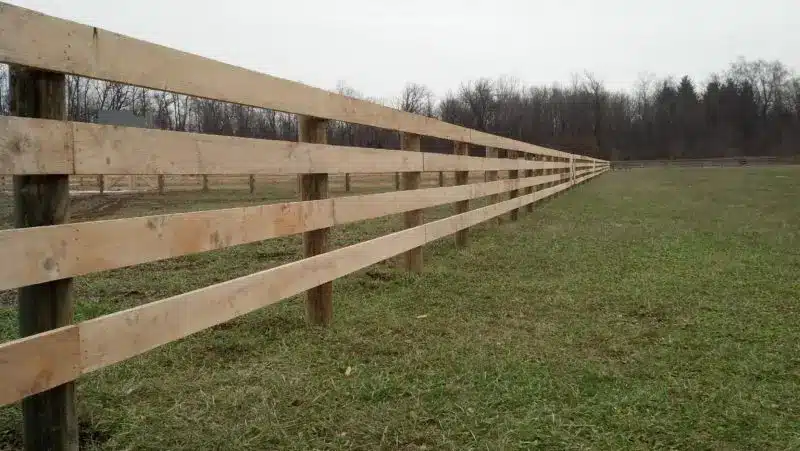Board Fence