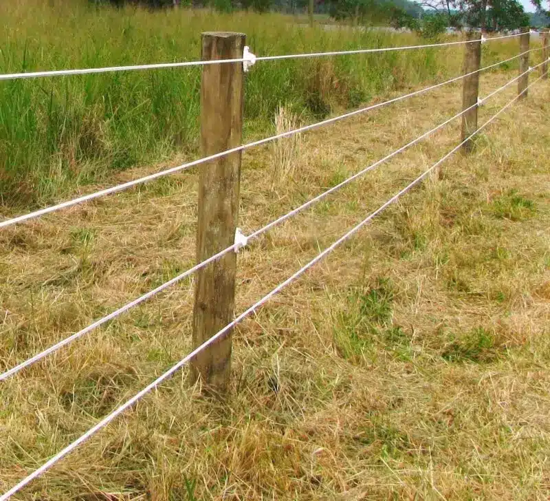 Poly Coat Fence
