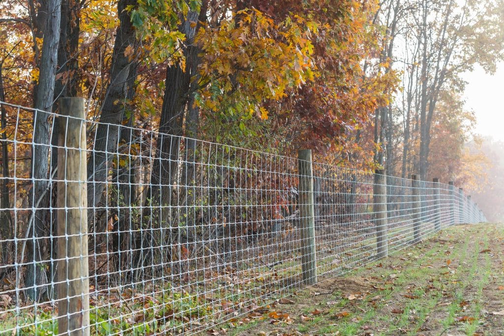 Woven Wire Fence