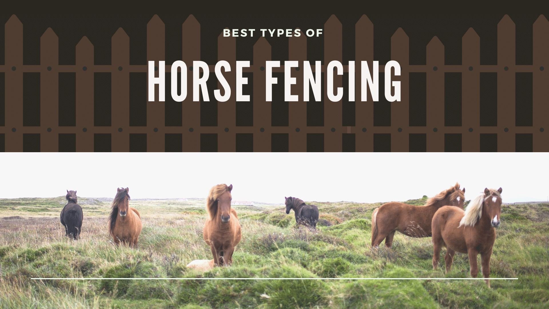 Featured image for the best type of horse fencing