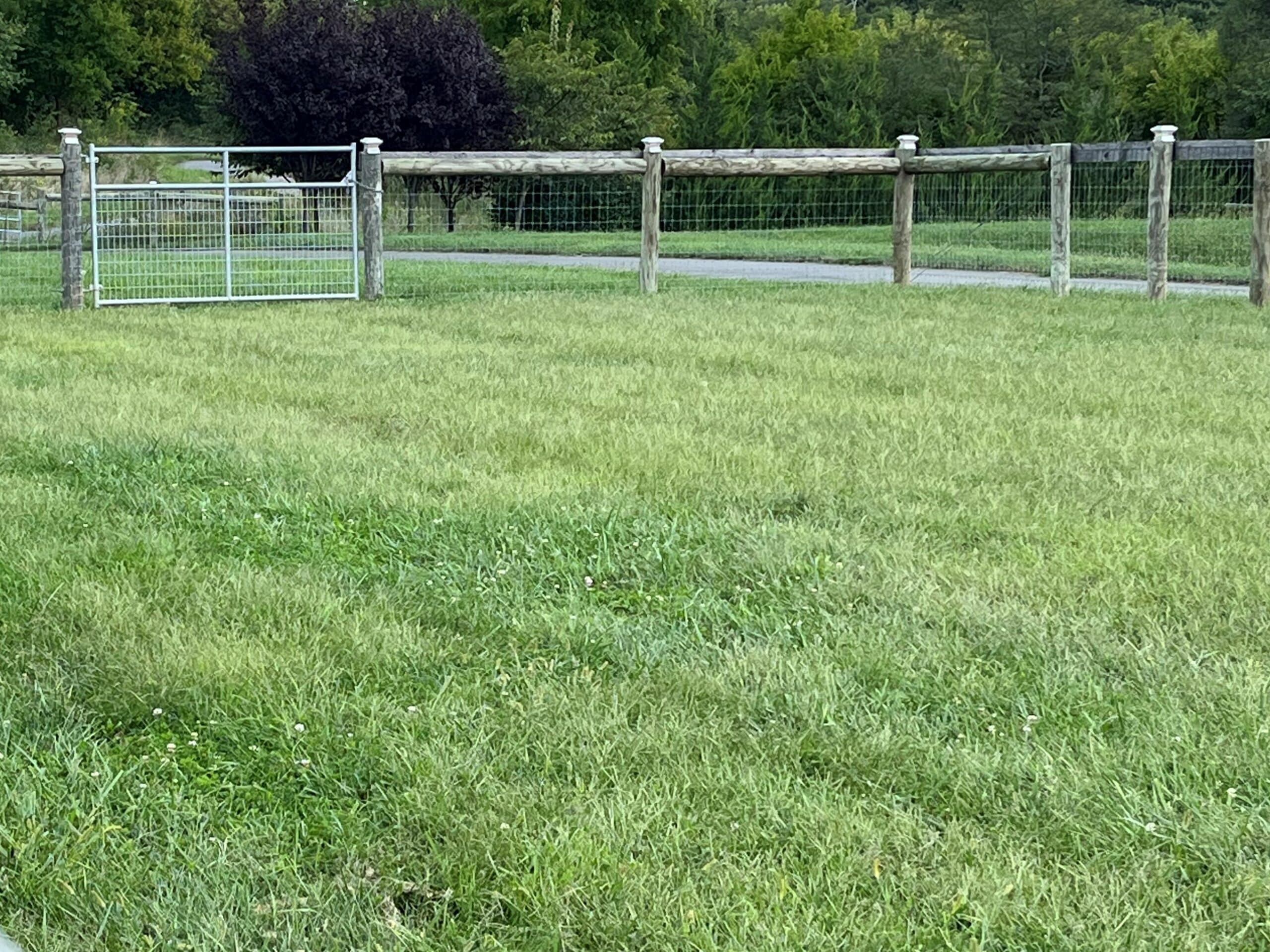 Woven Wire Fencing for Dogs in Winchester, VA ProFence LLC