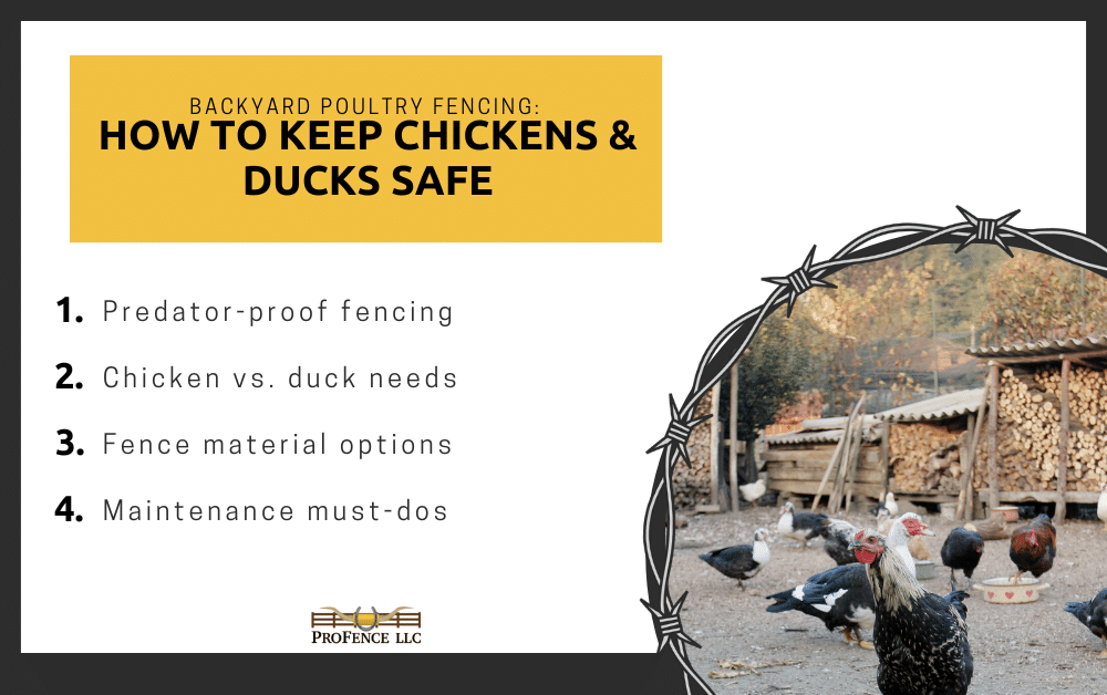 Poultry Fencing Infographic
