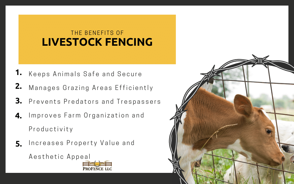 Livestock Fencing