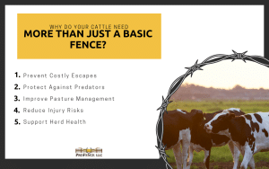 Cattle need more than a basic fence infographic