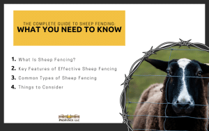 Sheep Fencing