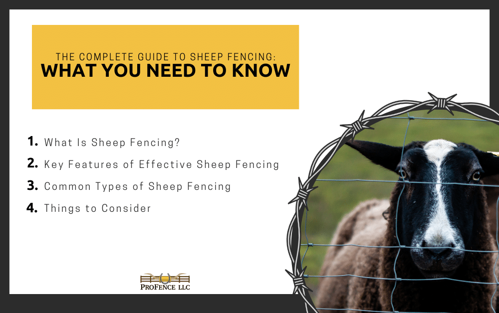 Sheep Fencing