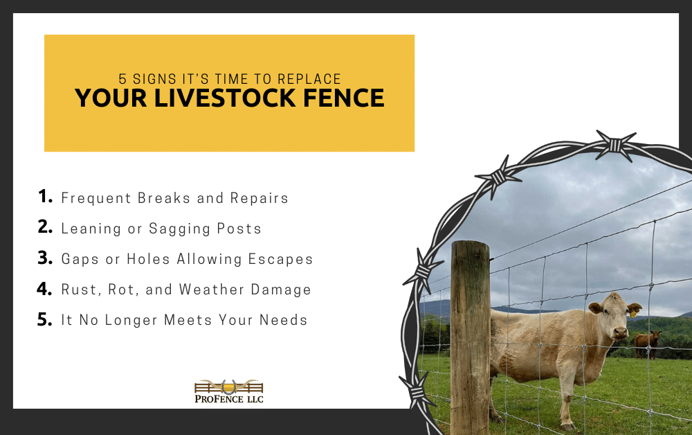 5 Signs Its Time to Replace Your Livestock Fence Infographic