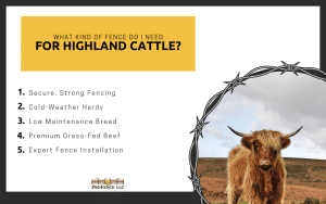 What Kind of Fence Do I Need for Highland Cattle? Infographic