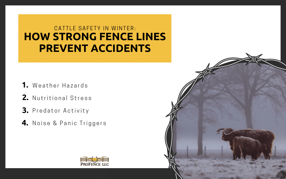 Cattle Safety in Winter: How Strong Fence Lines Prevent Accidents Infographic